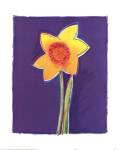Daffodil by Susan Zulauf