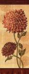 Dahlia I by Charlene Audrey