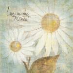 Daisy Do III - Live in the Moment by Chris Paschke