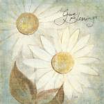 Daisy Do IV - Give Blessings by Chris Paschke