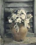 Daisy Mix by Laurie Eastwood