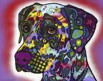 Dalmatian by Dean Russo