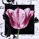 Damask Tulip I by Pamela Gladding
