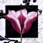 Damask Tulip III by Pamela Gladding
