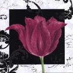 Damask Tulip IV by Pamela Gladding