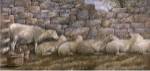 Dan Campanelli - Lean on Me Size 19.5x38 by Dan Campanelli