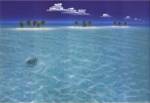 Dan Mackin - Turtle Crossing Size 39x28 by Dan Mackin