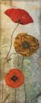 Dancing Poppies II by Color Bakery