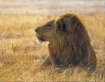 Danger on the Wind by John Banovich