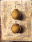 Dans L´Ombre Ses Desirs by Marylin Cavin