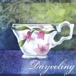 Darjeeling by Fiona Stokes-Gilbert