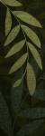 Dark Green Leaves by kristen emery