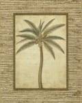 Date Palm by Victoria Hassy