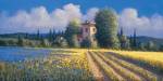 David Short - Summer Fields II Size 24x12 by David Short