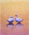 Dawn Meditation by Julie Chapman