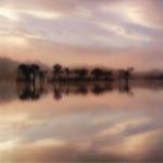Dawn Mist On The Amazon by Andy Mumford
