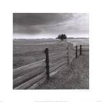 Days Gone By by Monte Nagler