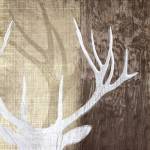 Deer Lodge II by Tandi Venter