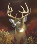 Deer Portrait by Leo Stans