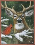 Deer With Cardinal by William Vanderdasson