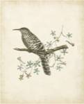Delicate Birds IV