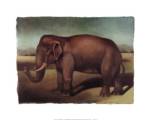 Denise Crawford - Elephant Size 16x20 by Denise Crawford