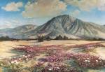 Desert in Spring by Robert Wood