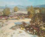 Desert Magic by Vernon Kerr