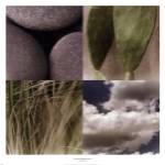 Desert Moods by Jennifer Broussard