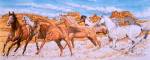 Desert Run by Richard De Wolfe