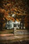 Diamond In Autumn by Jai Johnson
