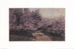 Disappearing Blossom by Wallace Nutting
