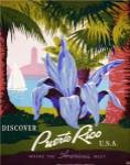 Discover Puerto Rico