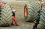 Dodge Boys