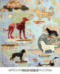 Dog Show Part I by Dolan Geiman