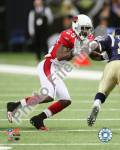 Dominique Rodgers- Cromartie 2010 Action
