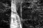 Double Falls II by Alan Majchrowicz