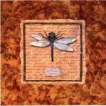 Dragonfly by Abby White
