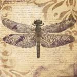 Dragonfly by Patricia Pinto