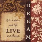 Dream by Jennifer Pugh