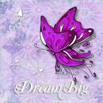 Dream Big by Megan Duncanson
