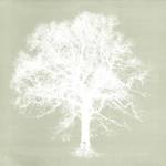 Dream Tree III by Ken Hurd