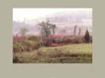 Dreamscapes: Morning Meadow by Nick Zungoli