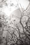 Dreamy Disney Concert View by Chris Moyer