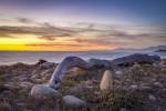 Driftwood January by Chris Moyer