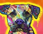 Drip Love by Dean Russo