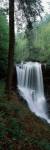 Dry Falls, Nantahala National Forest, Macon County, North Carolina by Panoramic Images