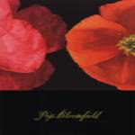Dual Poppy Left by Bloomfield