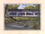 Ducks on the River by Ron Jenkins