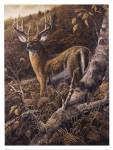 Duke of Autumn by Duane Geisness